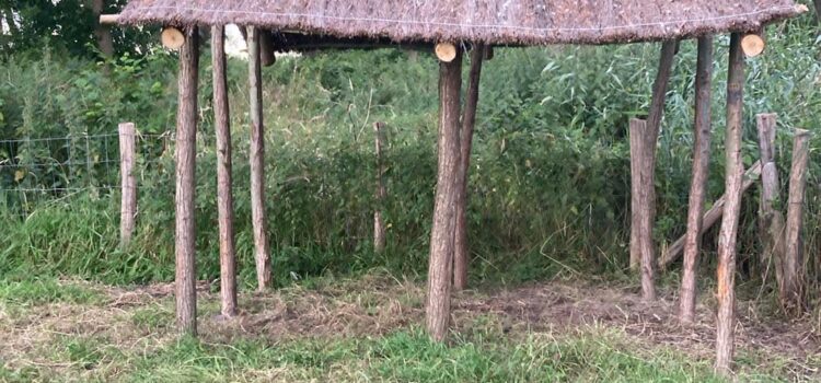 Dankzij het excellente werk van onze vrijwilligers en de hulp van Hans hebben we nu een unieke schuilhut.